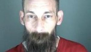 Schwartz Arrest Pic