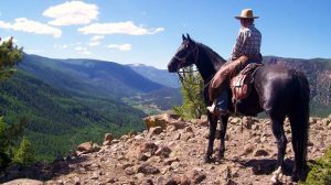 Rainbow Trout Ranch is nestled in the San Juan Mountains with the Rio Grande running through the property.