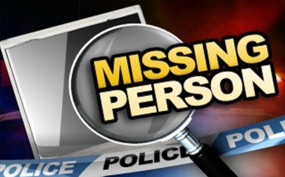 missing person facts