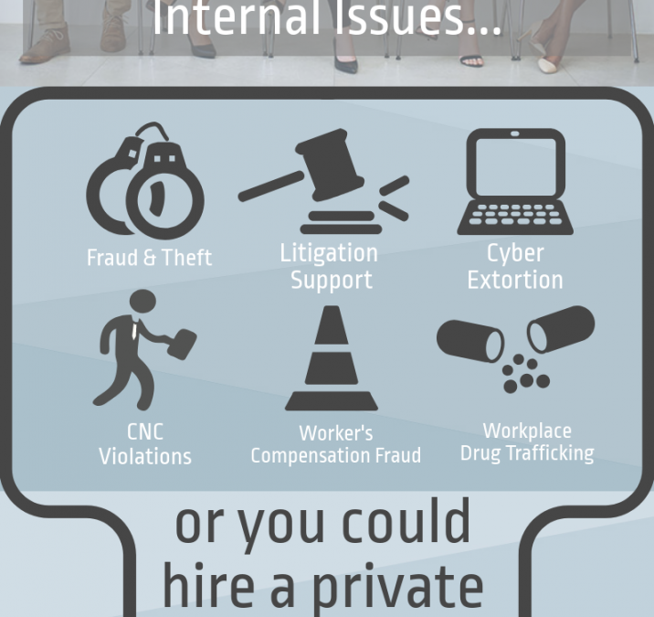Internal Investigation Teams vs. Private Investigators
