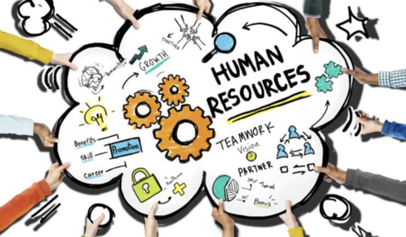 the-8-functional-areas-of-human-resources-mind-map