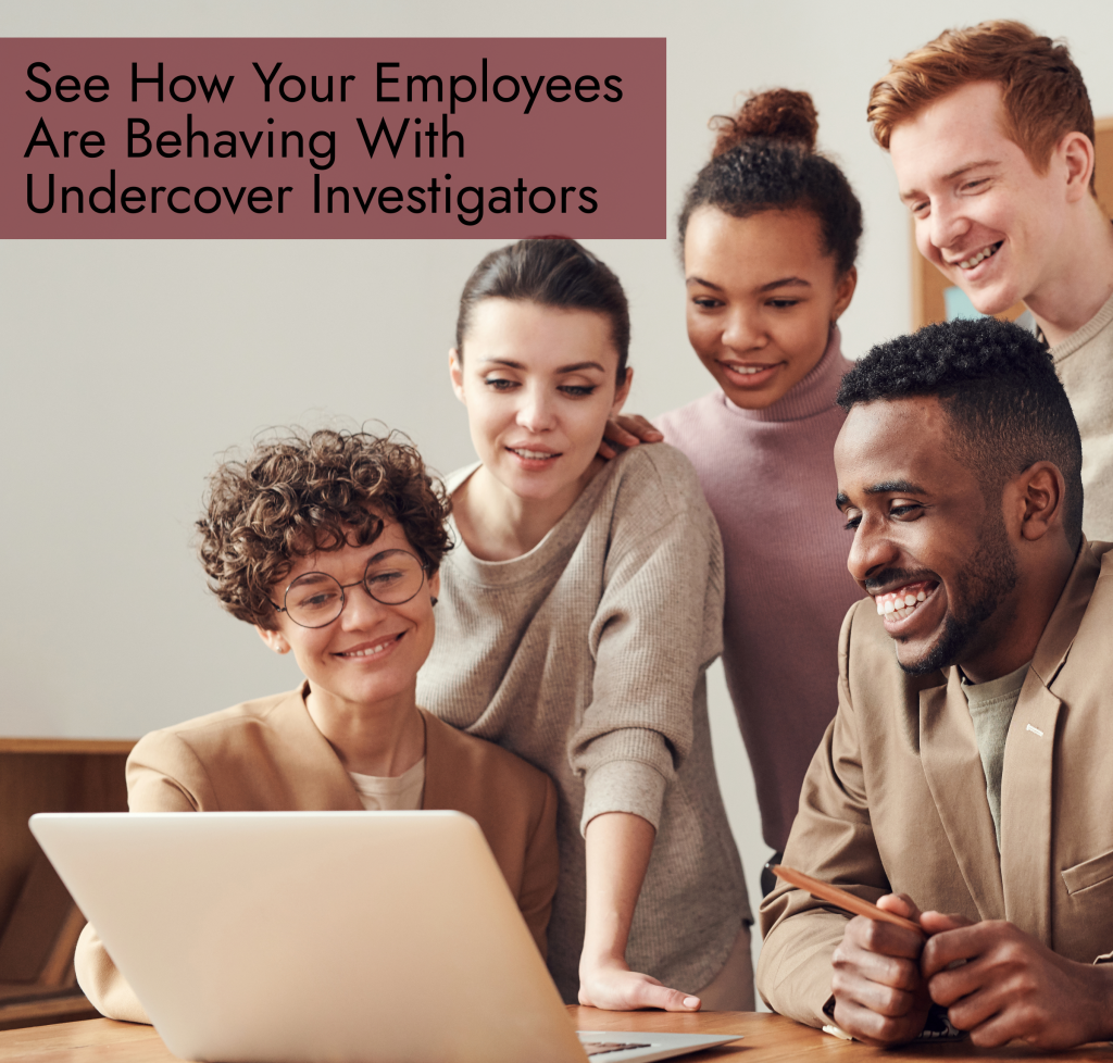 undercover corporate investigation 