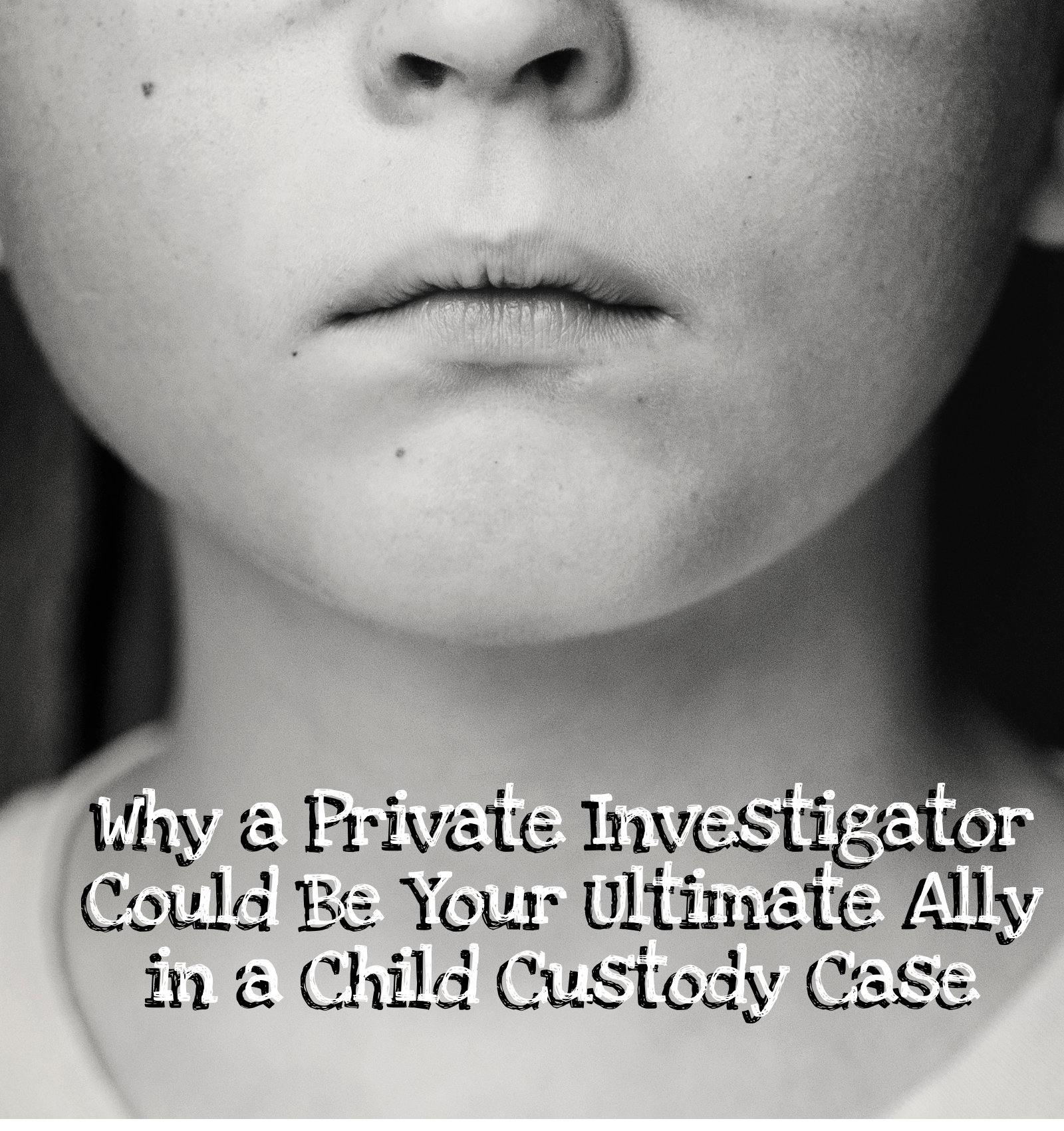 child custody investigator