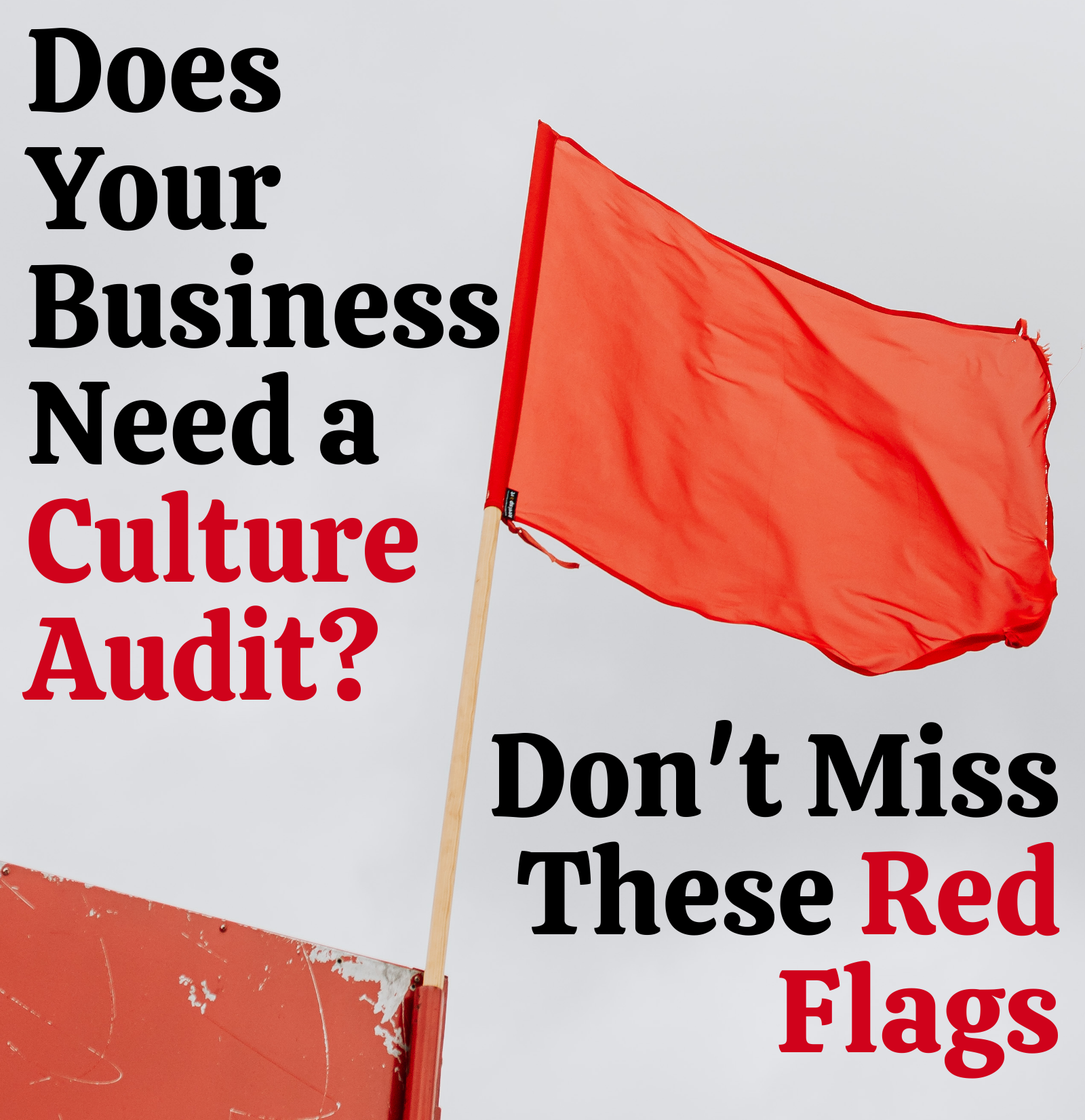 Does Your Business Need a Culture Audit? Don't Miss These Red Flags