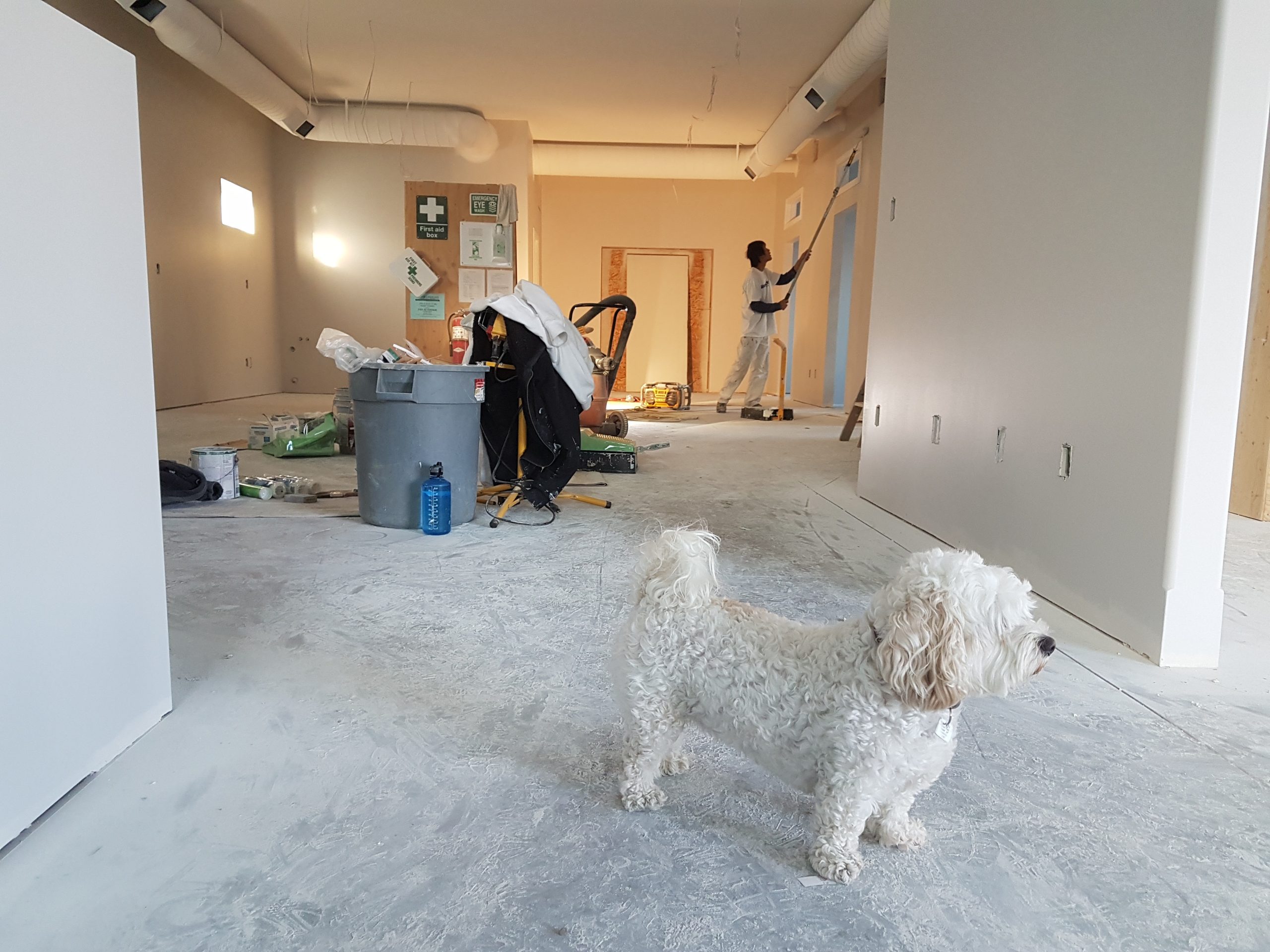 Renovating? Here’s Why You Should Hire a Private Investigator to Check Out the Candidates